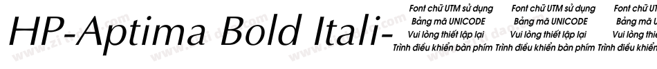 HP-Aptima Bold Itali字体转换